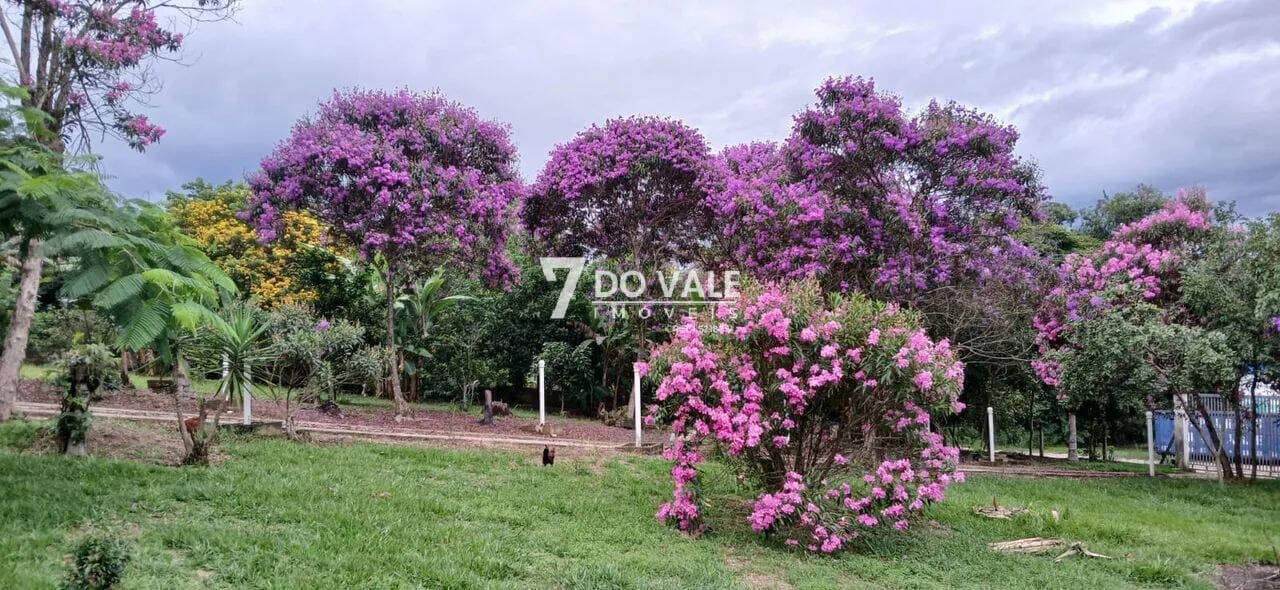 Foto 5 de Chácara em Caçapava com Piscina, Pomar e Área Gourmet Completa e Escritura.